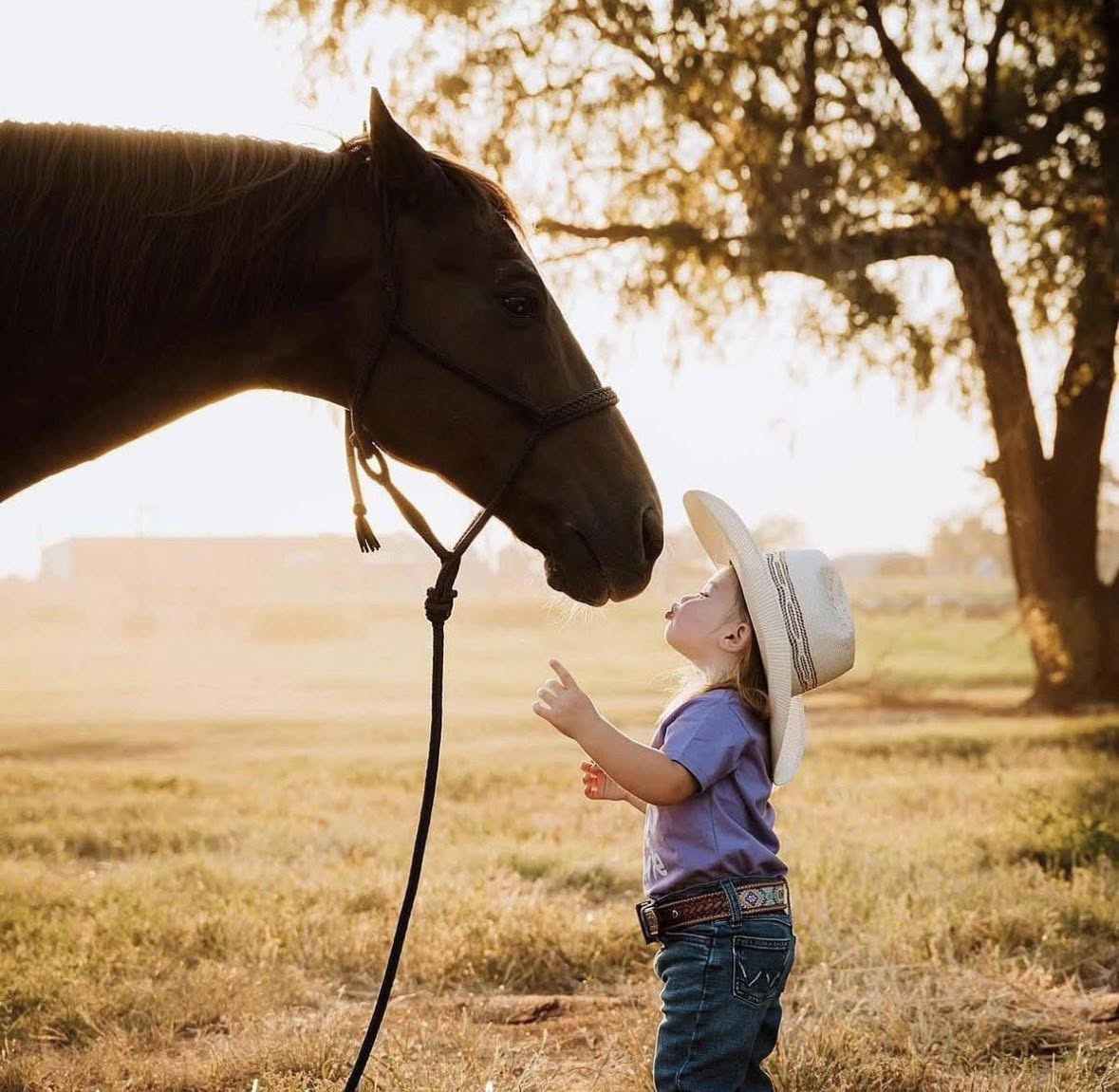 Oaklyn Domer Accident – Obituary: WPRA Montana Breakaway Ropers Mourn The Tragic Loss Of “Perfect Angel”; What Happened To Oaklyn Rae Domer?
